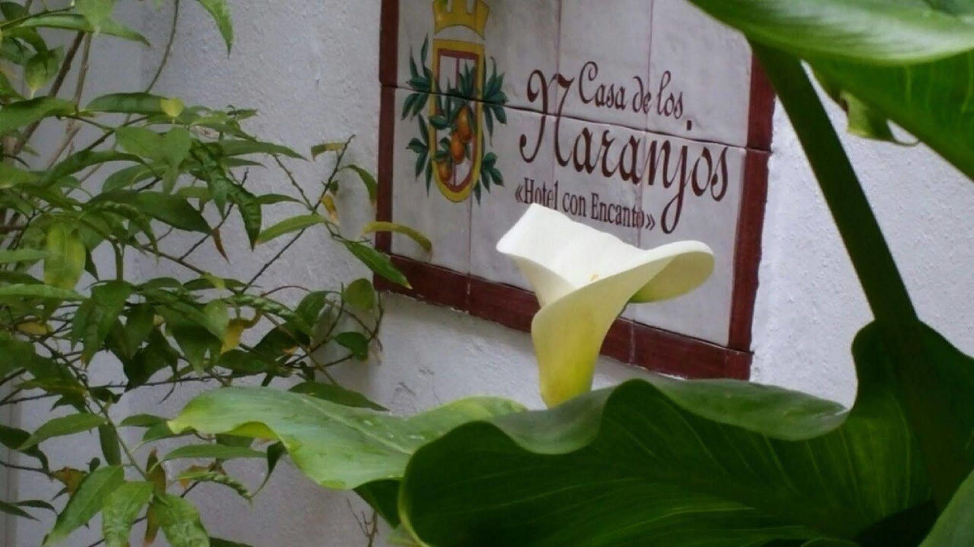 Hotel Boutique Puerta Del Rincon Кордова Екстер'єр фото